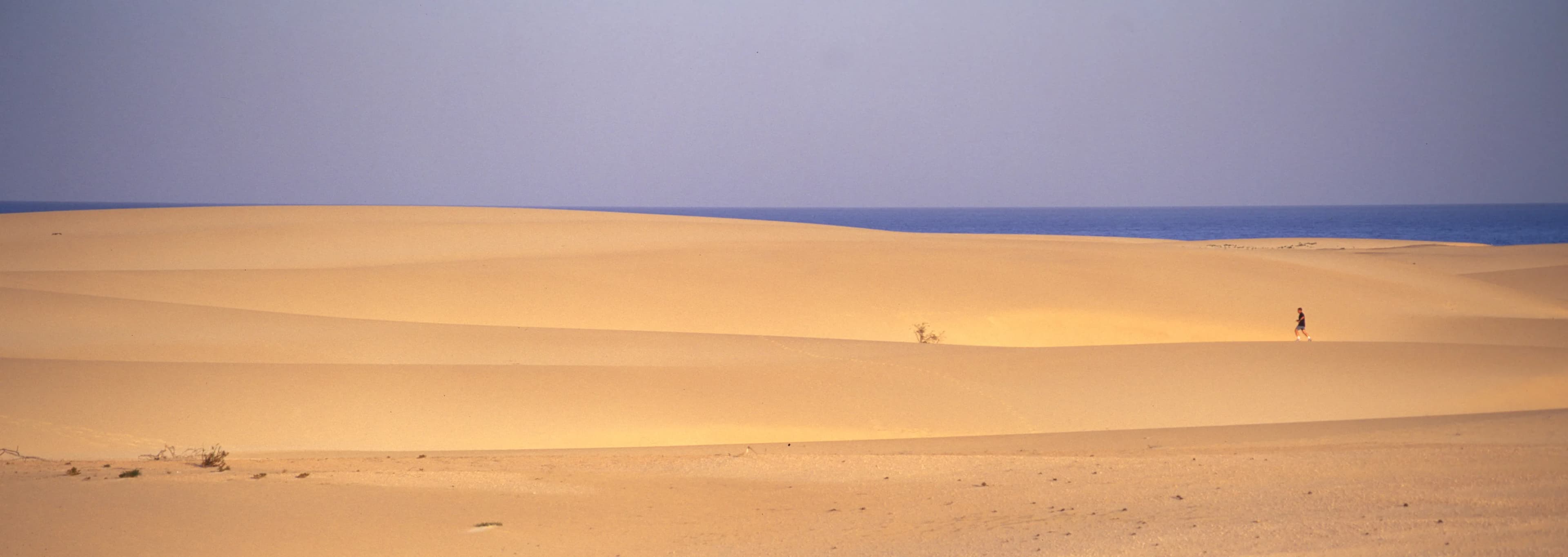 Dunas de Corralejo